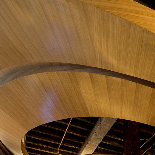 Southern Blue Gum veneer