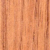 Aust Red Cedar veneer sample