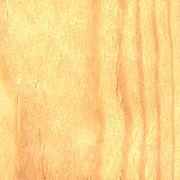 Baltic Pine veneer sample