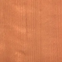 Beech New Zealand veneer sample