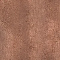 Brush Box veneer sample