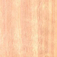 Tas Oak C/C veneer sample