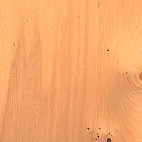 Celery Top Pine veneer sample