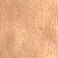 Birch Curly veneer sample