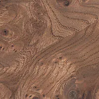 Elm Burl veneer sample