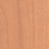 Euro Beech C/C veneer sample