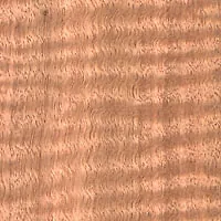 Figured Oak veneer sample