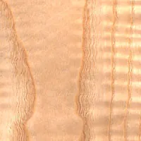 White Ash Amer Fig veneer sample