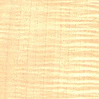 Maple Figured veneer sample