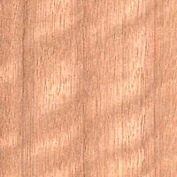 Figured Ash veneer sample