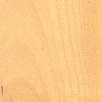 Sassafras Golden veneer sample