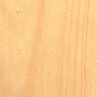 Hoop Pine veneer sample