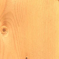 Huon Pine veneer sample
