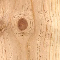 Radiata Pine (Knotty) veneer sample
