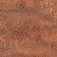 Maple Burl veneer sample