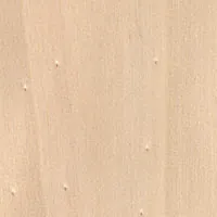 Poplar veneer sample