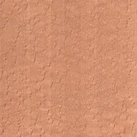 Euro Beech 1/4 veneer sample