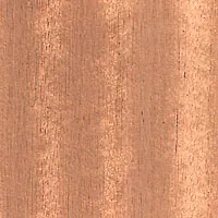 Qld Maple C/C veneer sample