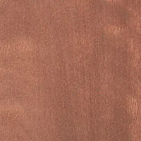 Figured Maple veneer sample
