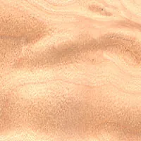 Birch Quilted veneer sample