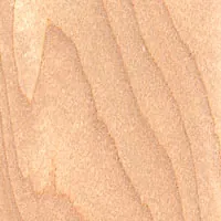 Betula pendula veneer sample