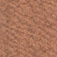Silky Oak veneer sample