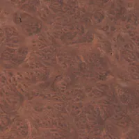 Vavona Burl veneer sample