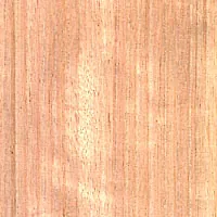 Victoria Ash veneer sample